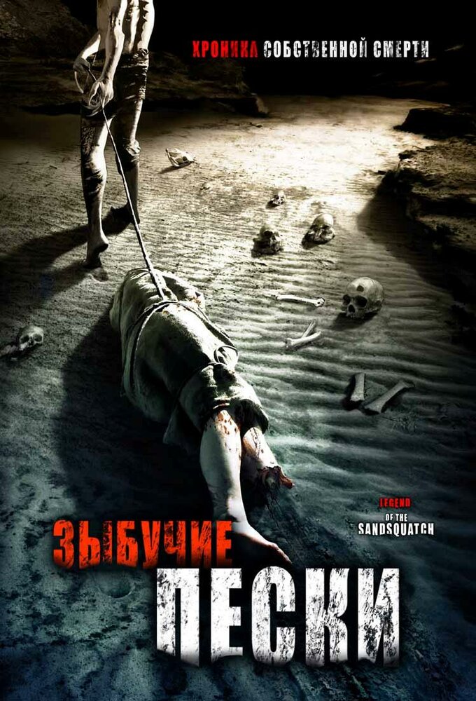 Зыбучие пески: Хроники собственной смерти (2006) постер