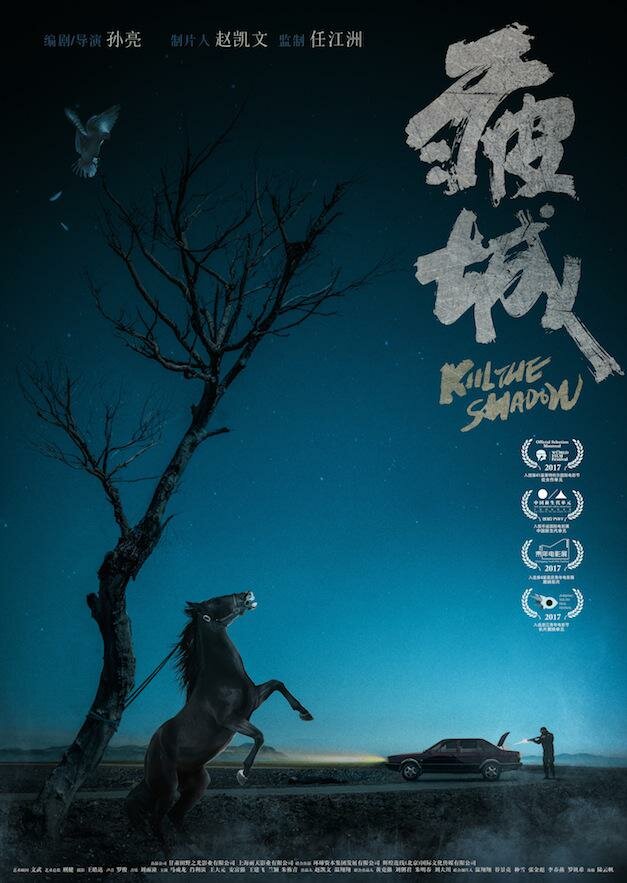 Убей тень (2017) постер