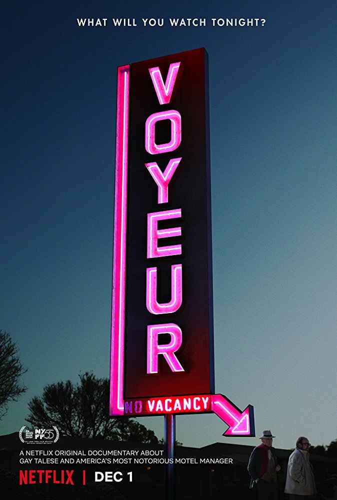 Voyeur (2017) постер
