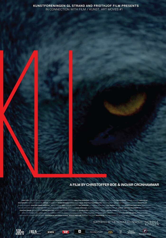 Kill (2011) постер