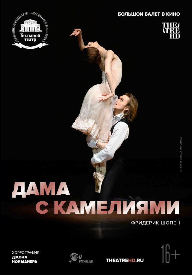 Дама с камелиями (2015) постер