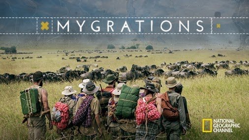 Миграции (2016) постер