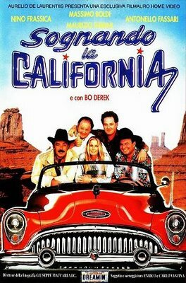 Сновидение в Калифорнии (1992) постер
