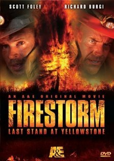 Огненный шторм (2006) постер