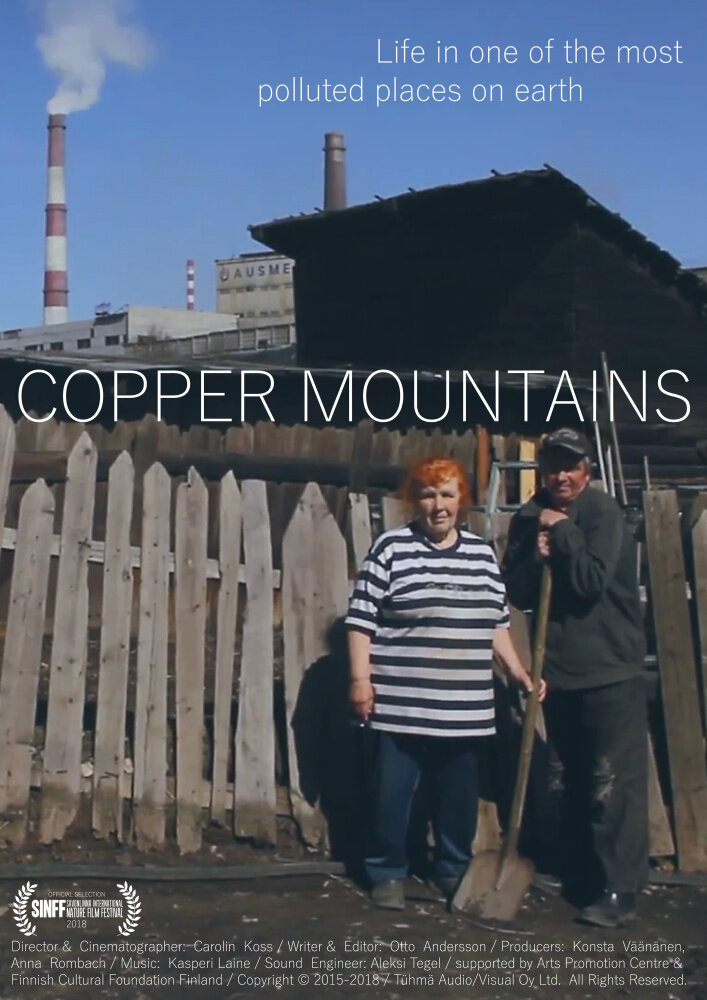 Copper Mountains (2018) постер
