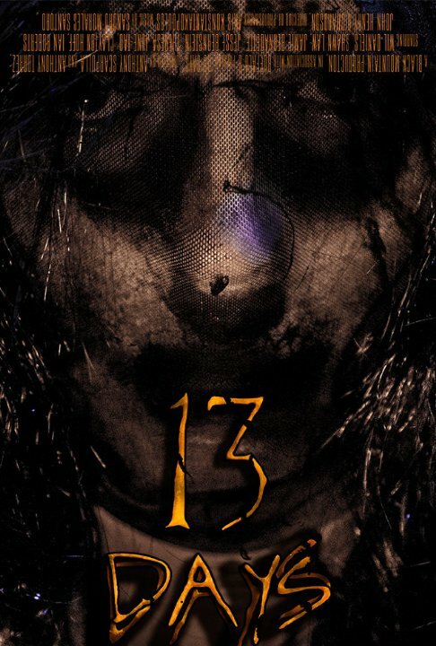 13 Days (2016) постер