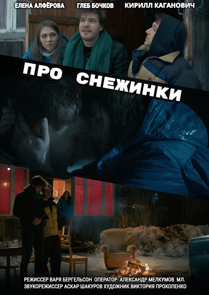 Про снежинки (2019) постер