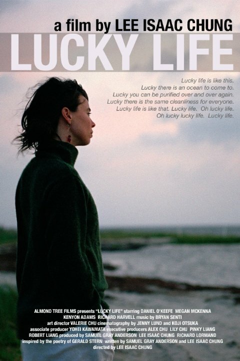 Жизнь удалась (2010) постер