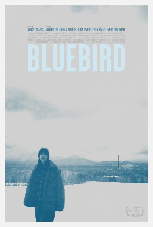Синяя птица (2013) постер