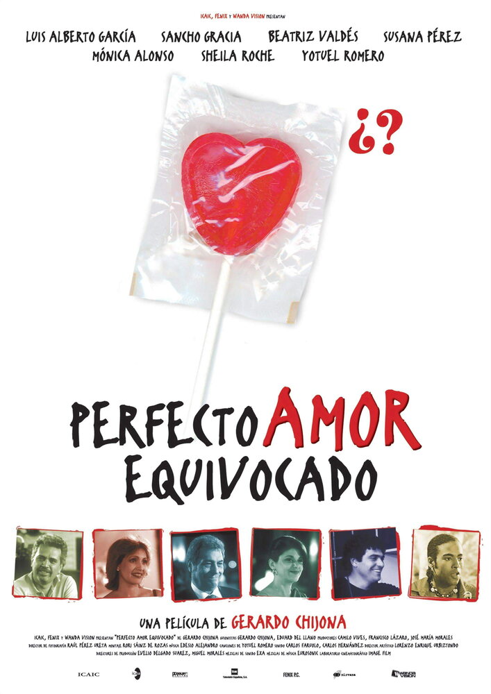 Совершенная неправильная любовь (2004) постер