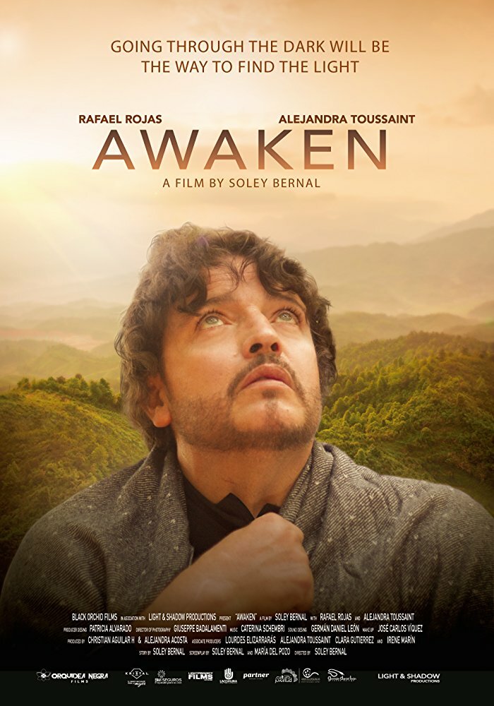 Despertar: Awaken (2017) постер