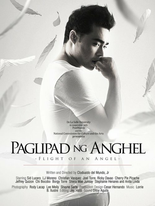 Летающие ангелы (2011) постер
