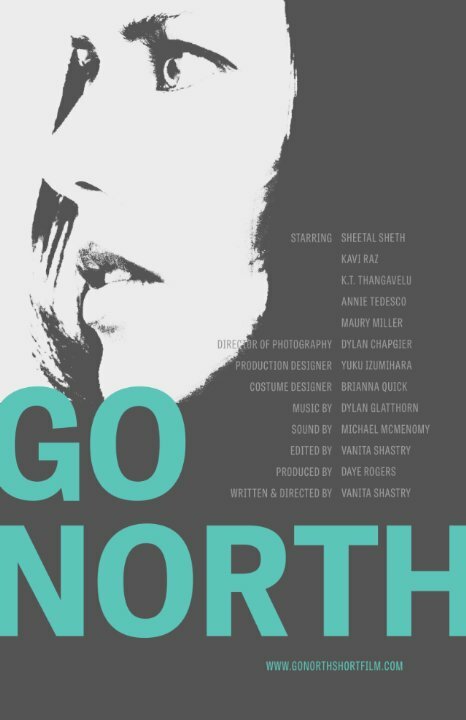 Go North (2014) постер