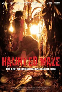 Haunted Maze (2013)