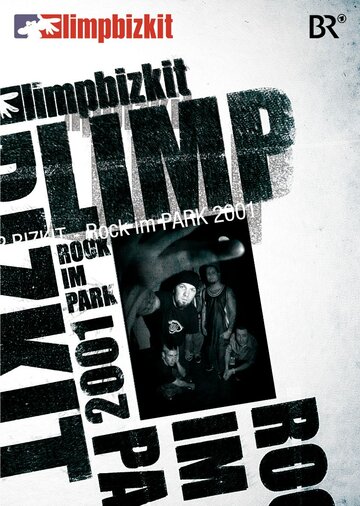 Limp Bizkit: Rock in the Park (2008)